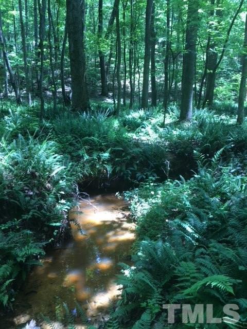 0 Sheep Rock Road Snow Camp, NC 27349 - Photo 18 of 20 Gallery Image 18