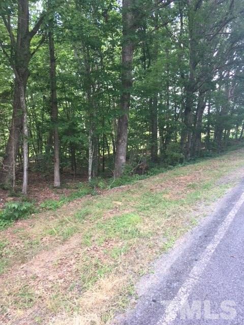 0 Sheep Rock Road Snow Camp, NC 27349 - Photo 19 of 20 Gallery Image 19
