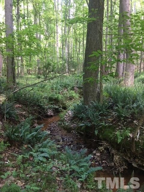 0 Sheep Rock Road Snow Camp, NC 27349 - Photo 3 of 20 Gallery Image 3