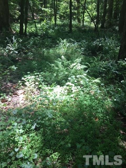 0 Sheep Rock Road Snow Camp, NC 27349 - Photo 5 of 20 Gallery Image 5