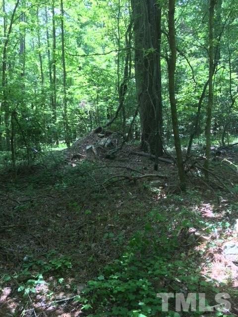 0 Sheep Rock Road Snow Camp, NC 27349 - Photo 6 of 20 Gallery Image 6