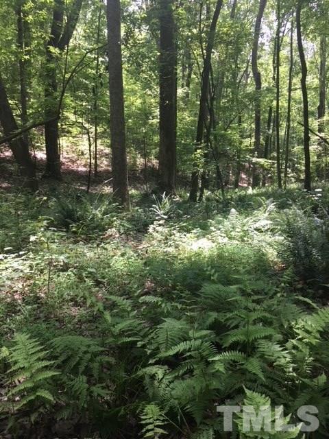 0 Sheep Rock Road Snow Camp, NC 27349 - Photo 7 of 20 Gallery Image 7