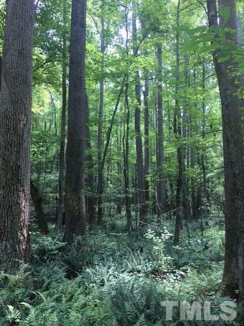 0 Sheep Rock Road Snow Camp, NC 27349 - Photo 10 of 20 Gallery Image 10
