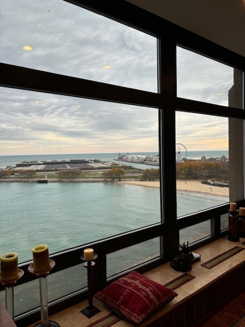 680 North Lake Shore Drive, Unit 1103 Chicago, IL 60611 - Photo 13 of 28 a view of workspace with city view