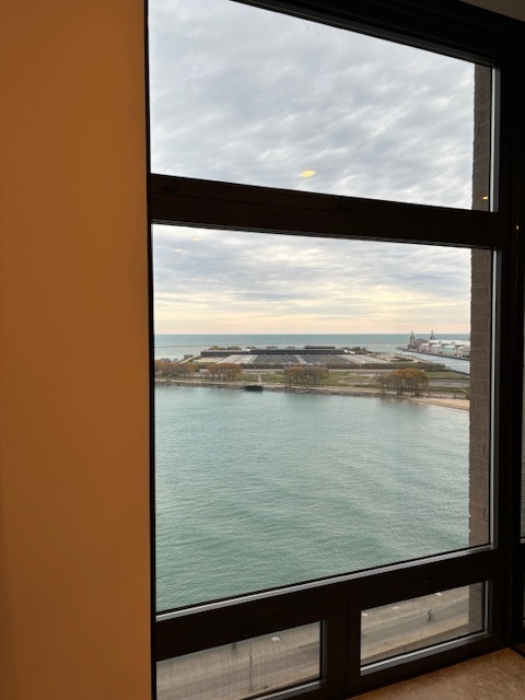 680 North Lake Shore Drive, Unit 1103 Chicago, IL 60611 - Photo 20 of 28 a view of lake from window