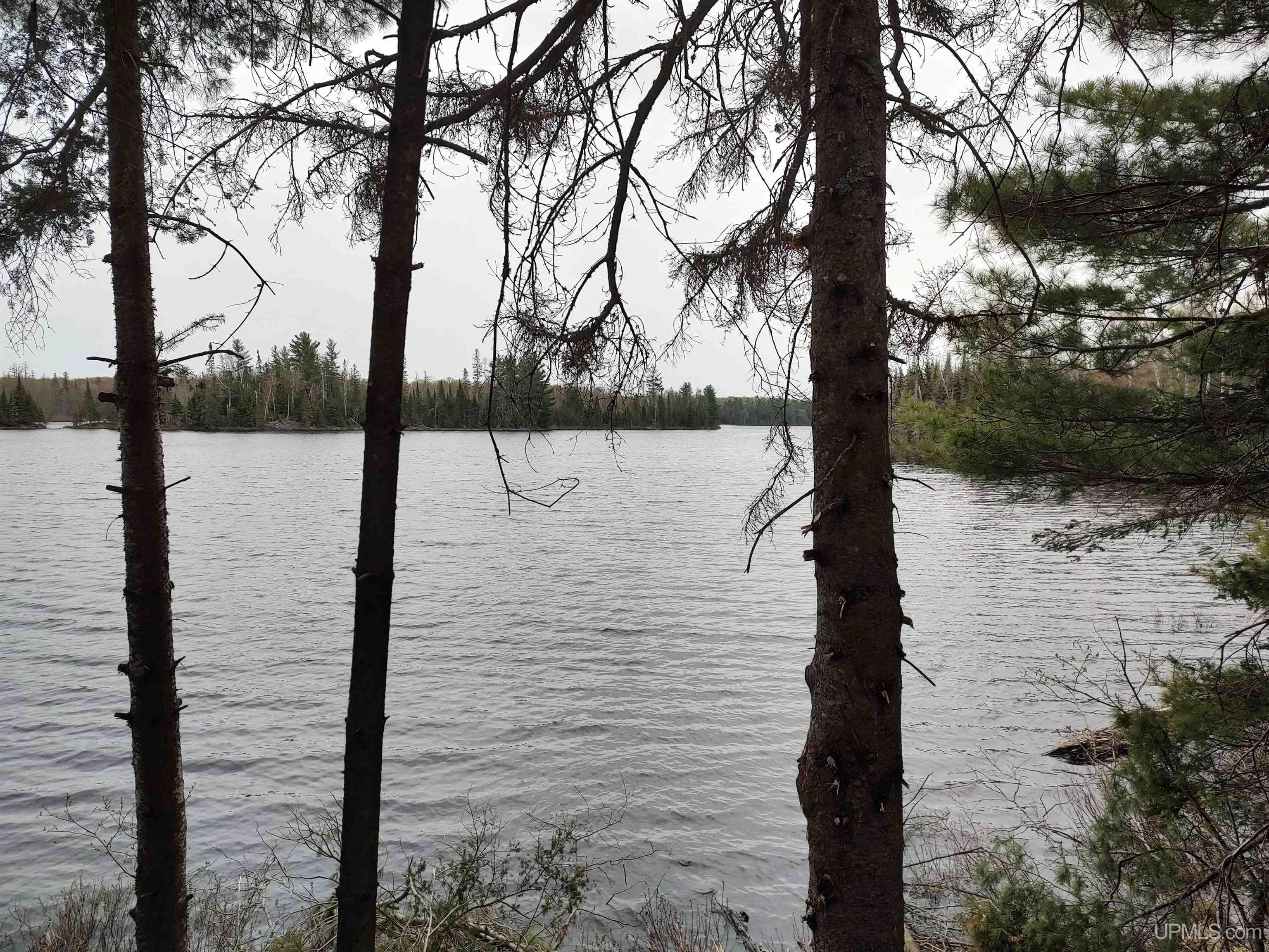 10 Fence Lake Road Michigamme, MI 49861 - Photo 9 of 42