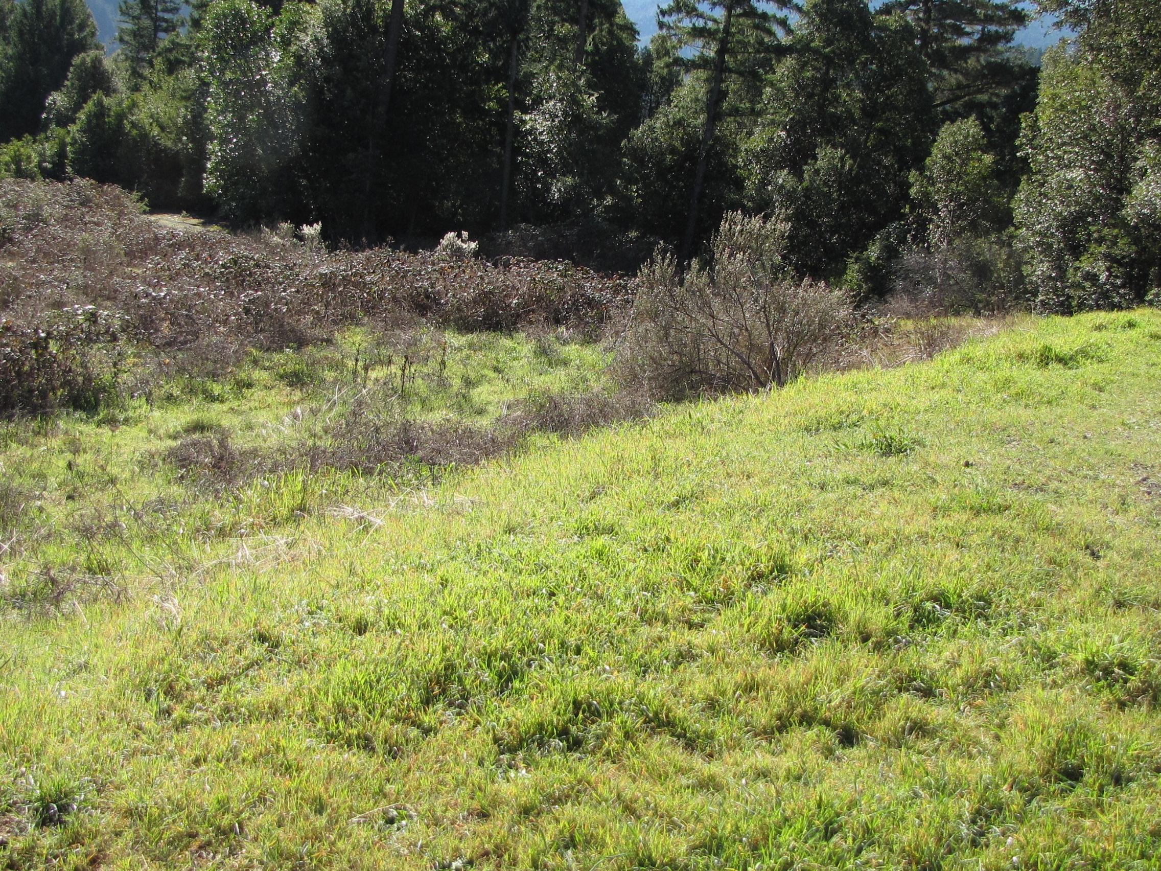 1491 Salyer Loop Road Salyer, CA 95563 - Photo 16 of 17