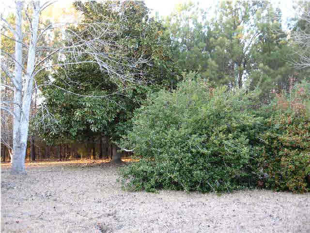 4547 Bill Downing Road Raymond, MS 39154 - Photo 7 of 12 Photo 8