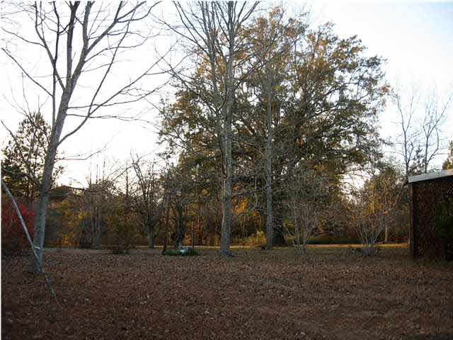 4547 Bill Downing Road Raymond, MS 39154 - Photo 10 of 12 Photo 11