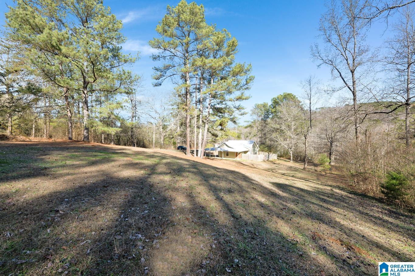 3050 County Road 974 Logan, AL 35098 - Photo 28 of 31