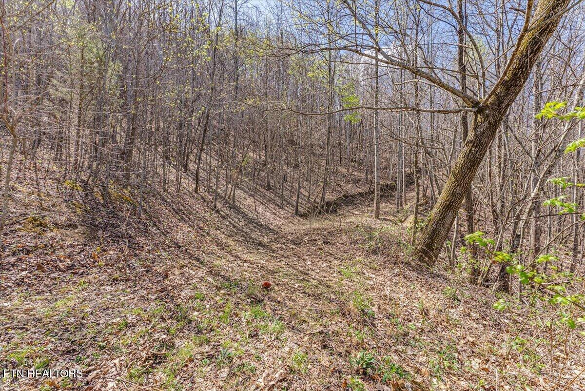422 Crooked Branch Road Huntsville, TN 37756 - Photo 31 of 35 41-Trail A1