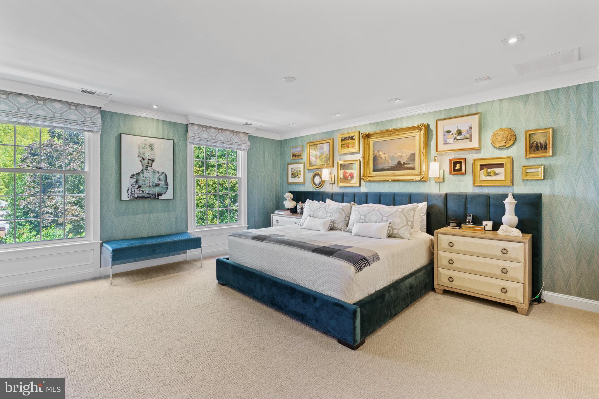 3323 R Street Northwest Washington, DC 20007 - Photo 11 of 54 Primary Bedroom with walk-in closet, wool carpet