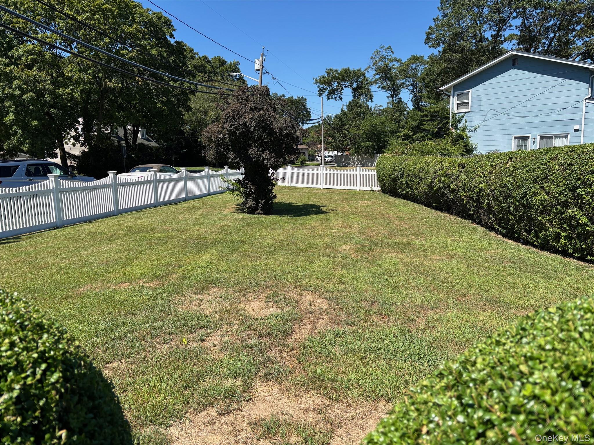 10 13th Avenue West Babylon, NY 11704 - Photo 25 of 33 a view of yard with tree