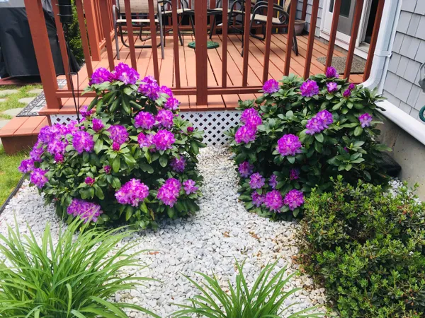 $489,000 | 1 Hawthorne Court, Unit C, Pocasset, MA 02559