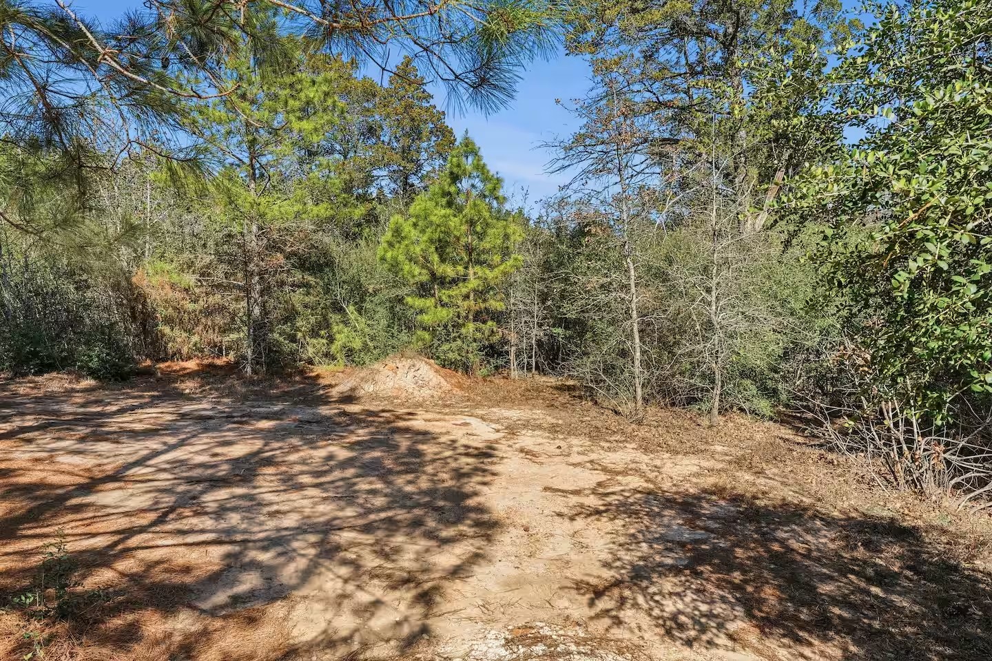 201 Winfield Thicket Road Bastrop, TX 78602 - Photo 31 of 36 a view of a yard with plants and trees