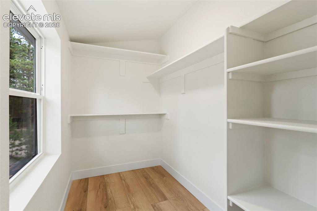 11665 Greentree Road Colorado Springs, CO 80908 - Photo 24 of 43 Walk in closet featuring light wood finished floors
