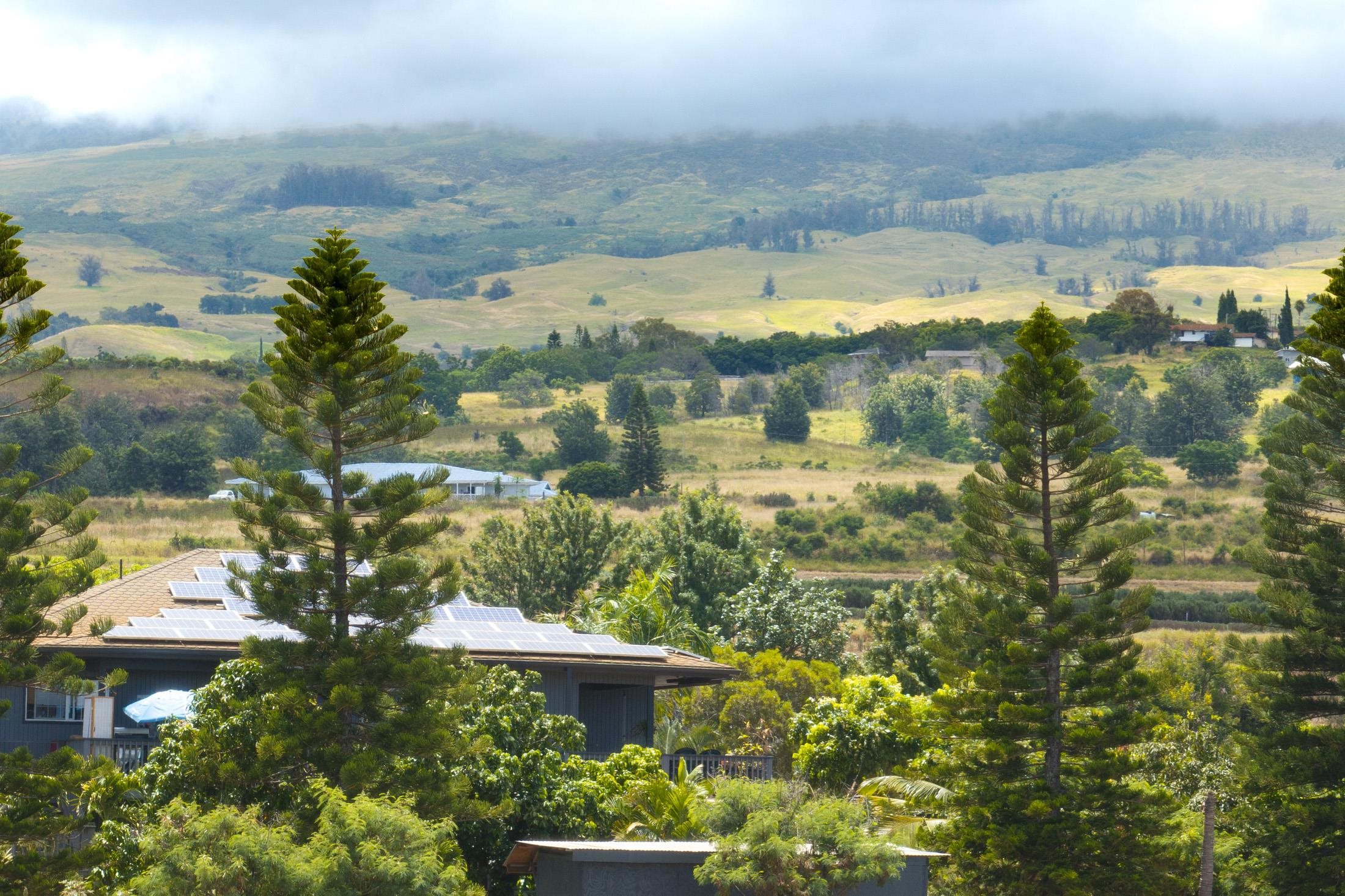Omaopio Road Kula, HI 96790 - Photo 25 of 31 Gallery Image 25