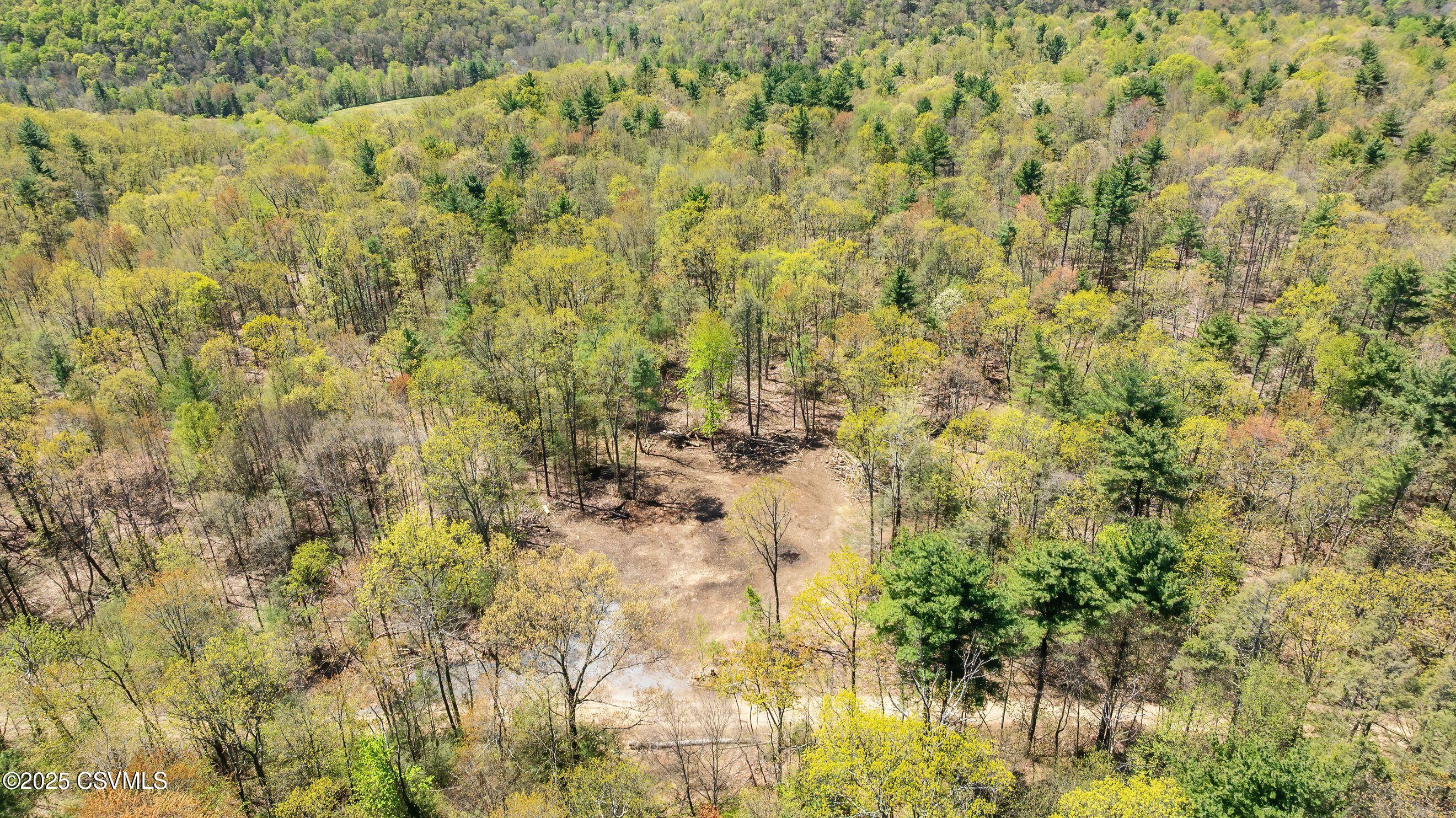 Lot 3 Patton Hill Road Danville, PA 17821 - Photo 1 of 7 Gallery Image 1