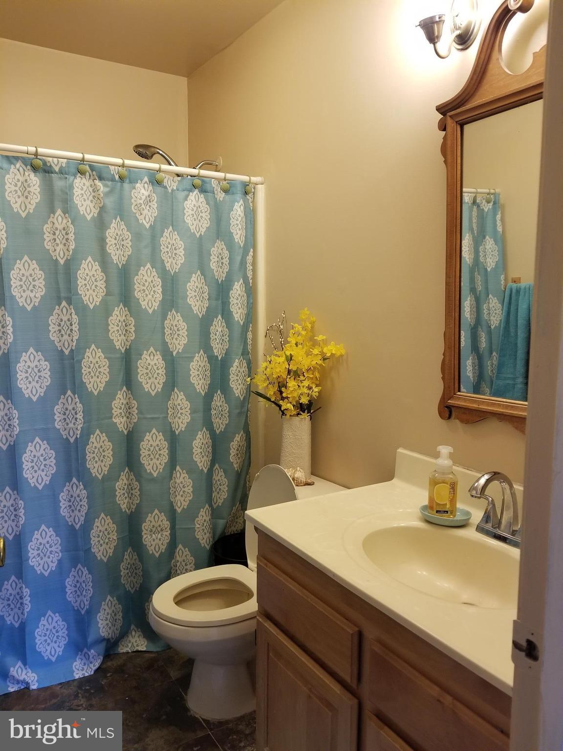 210 Pfalzgroff Road Millington, MD 21651 - Photo 19 of 19 Bath