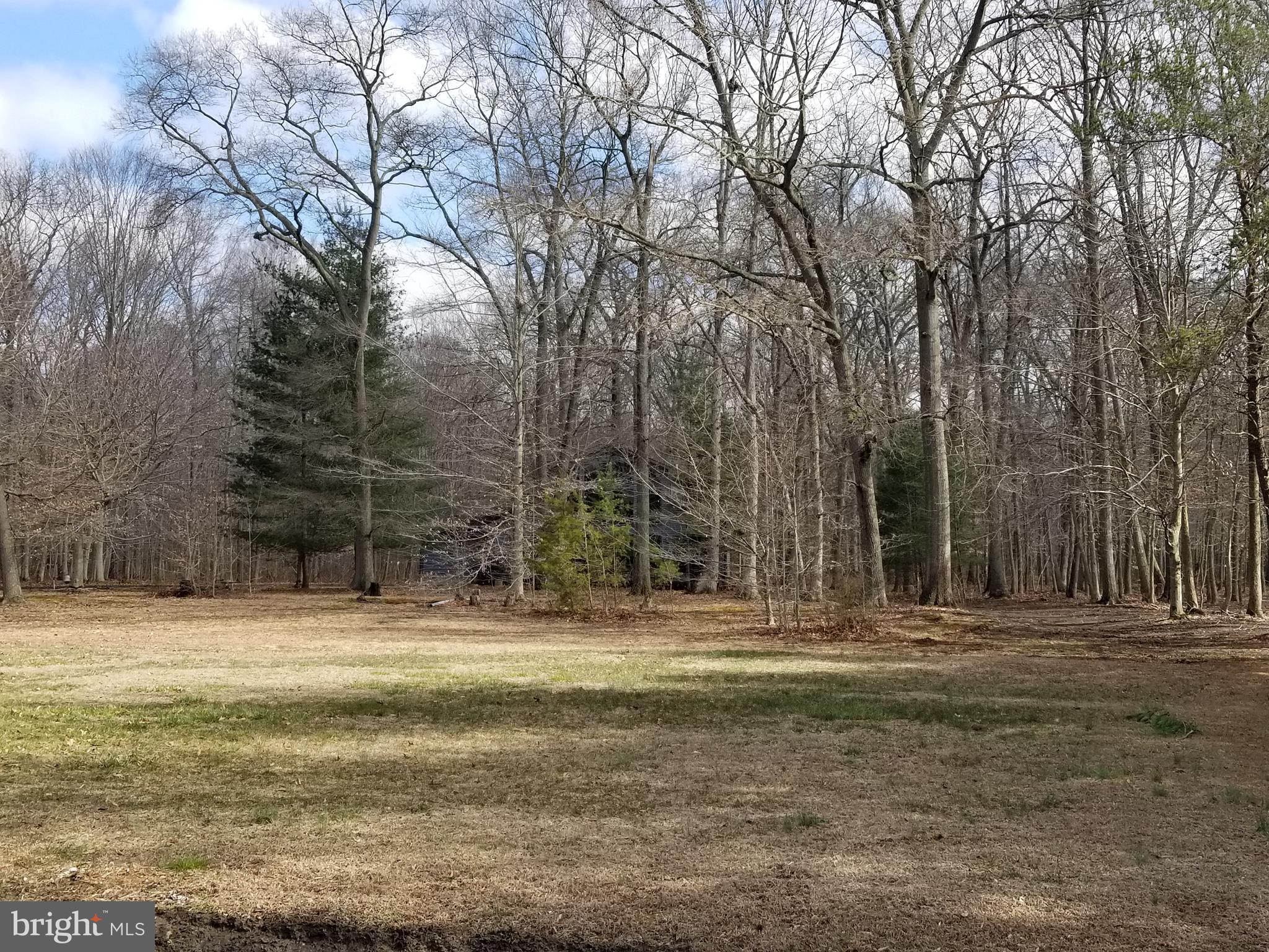 210 Pfalzgroff Road Millington, MD 21651 - Photo 4 of 19 View