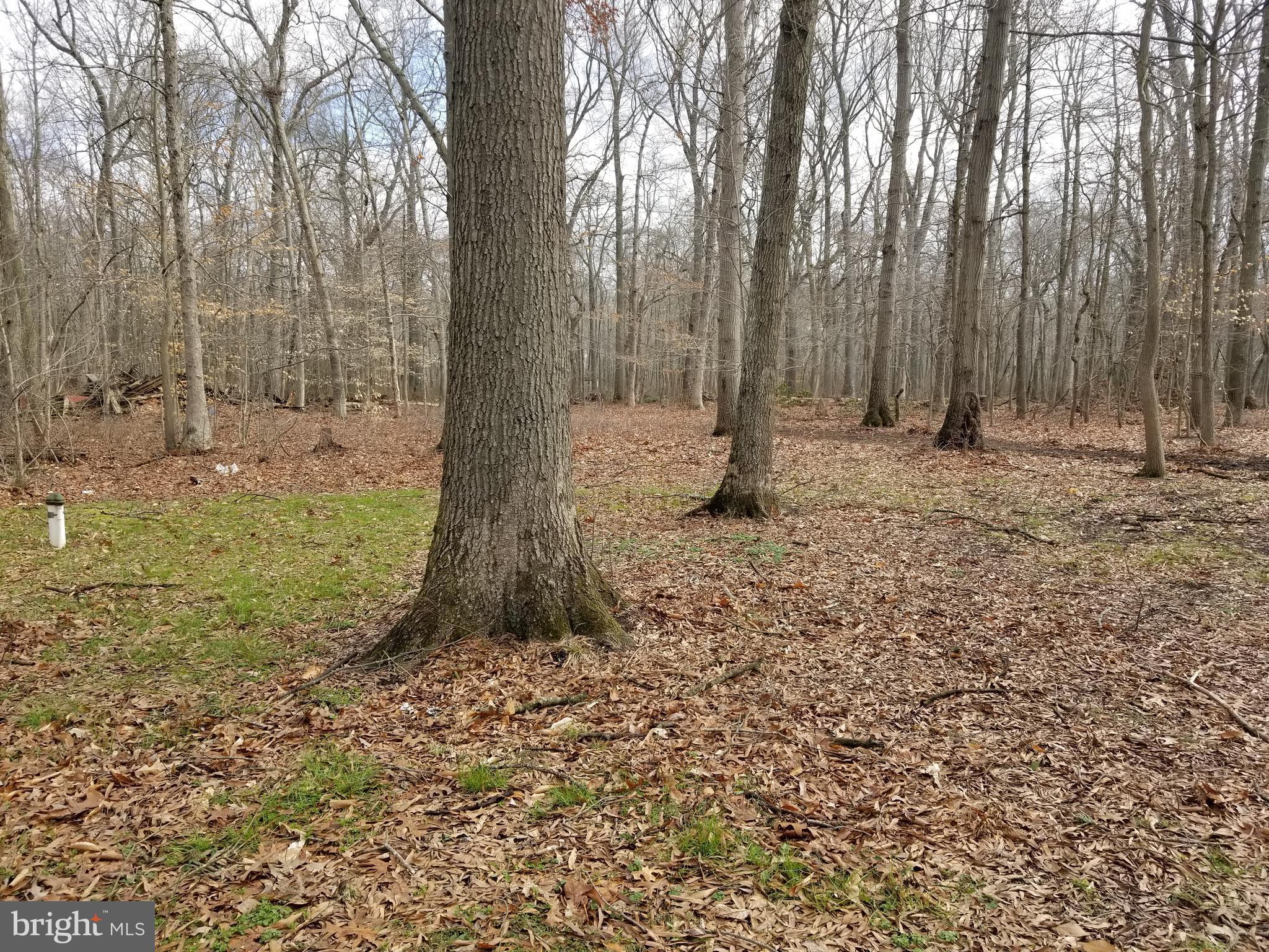 210 Pfalzgroff Road Millington, MD 21651 - Photo 5 of 19 View
