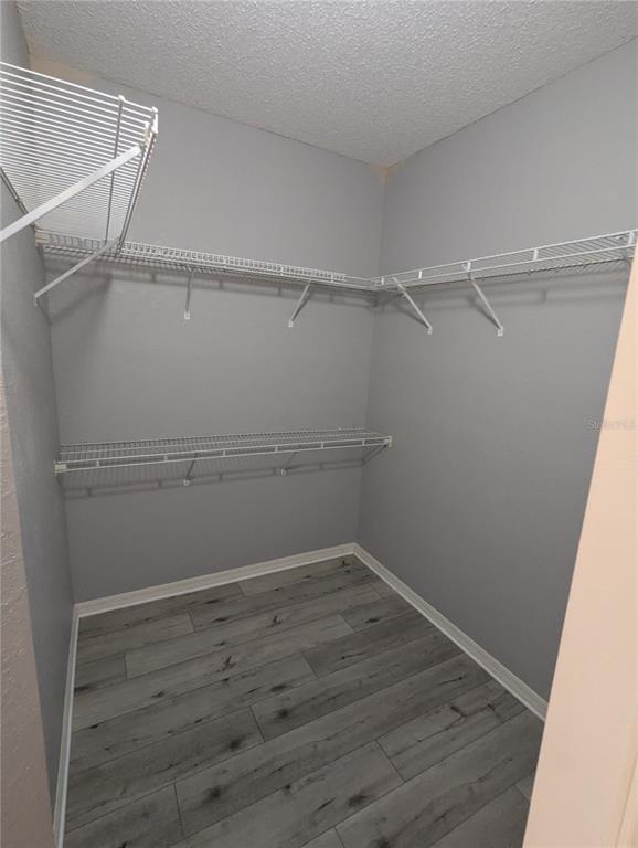 903 Normandy Trace Road Tampa, FL 33602 - Photo 10 of 14 a view of an empty walk in closet