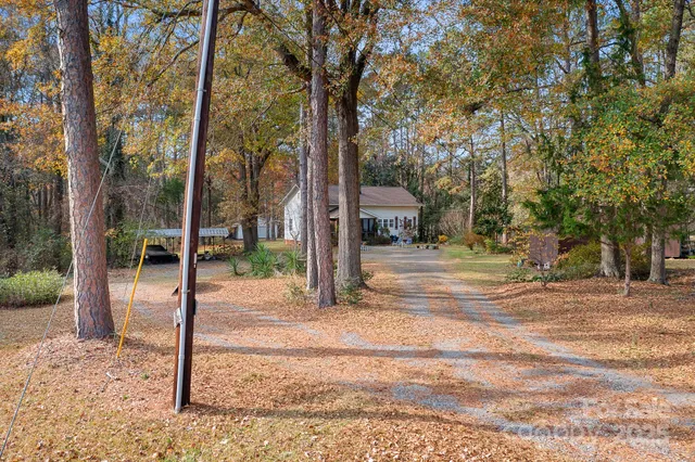a view of road with large trees