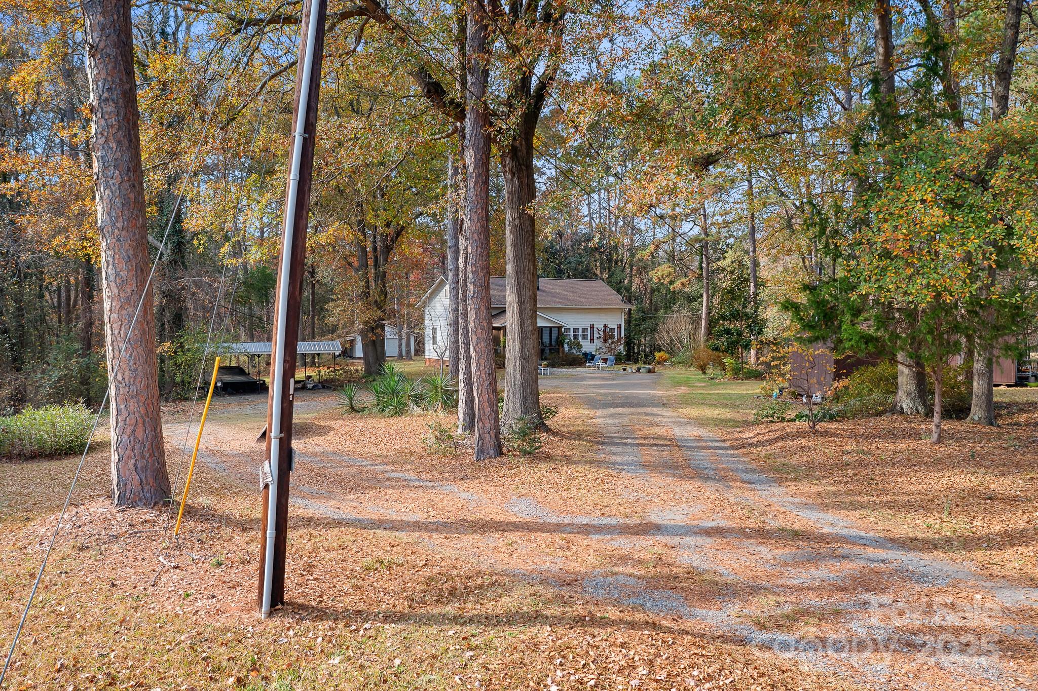 a view of road with large trees
