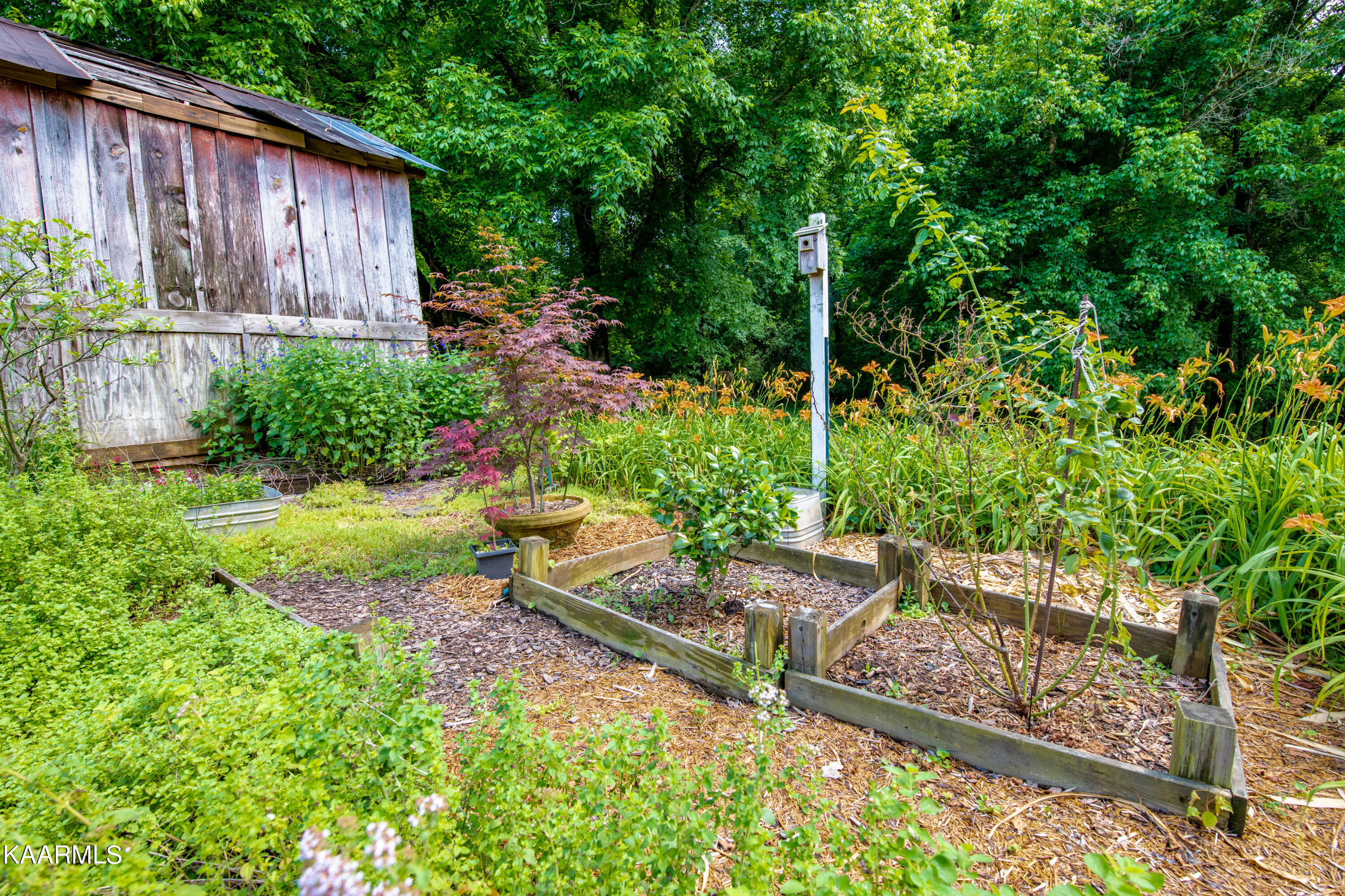 252 Ragon Road Philadelphia, TN 37846 - Photo 28 of 35 252 Ragon Rd, Philadelphia, TN-28