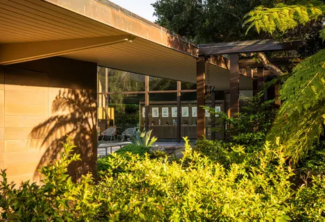a view of a house with a tree in front