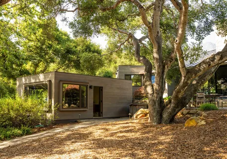 a view of park with large trees