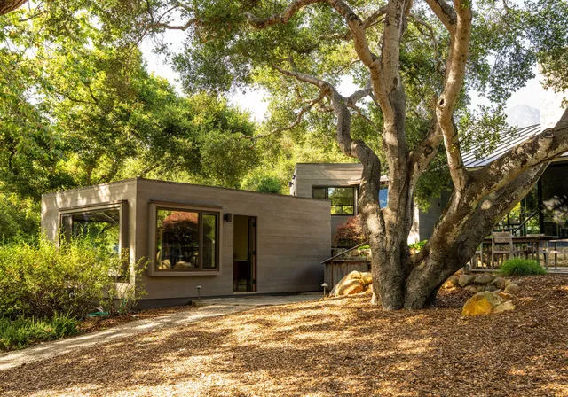 a view of park with large trees