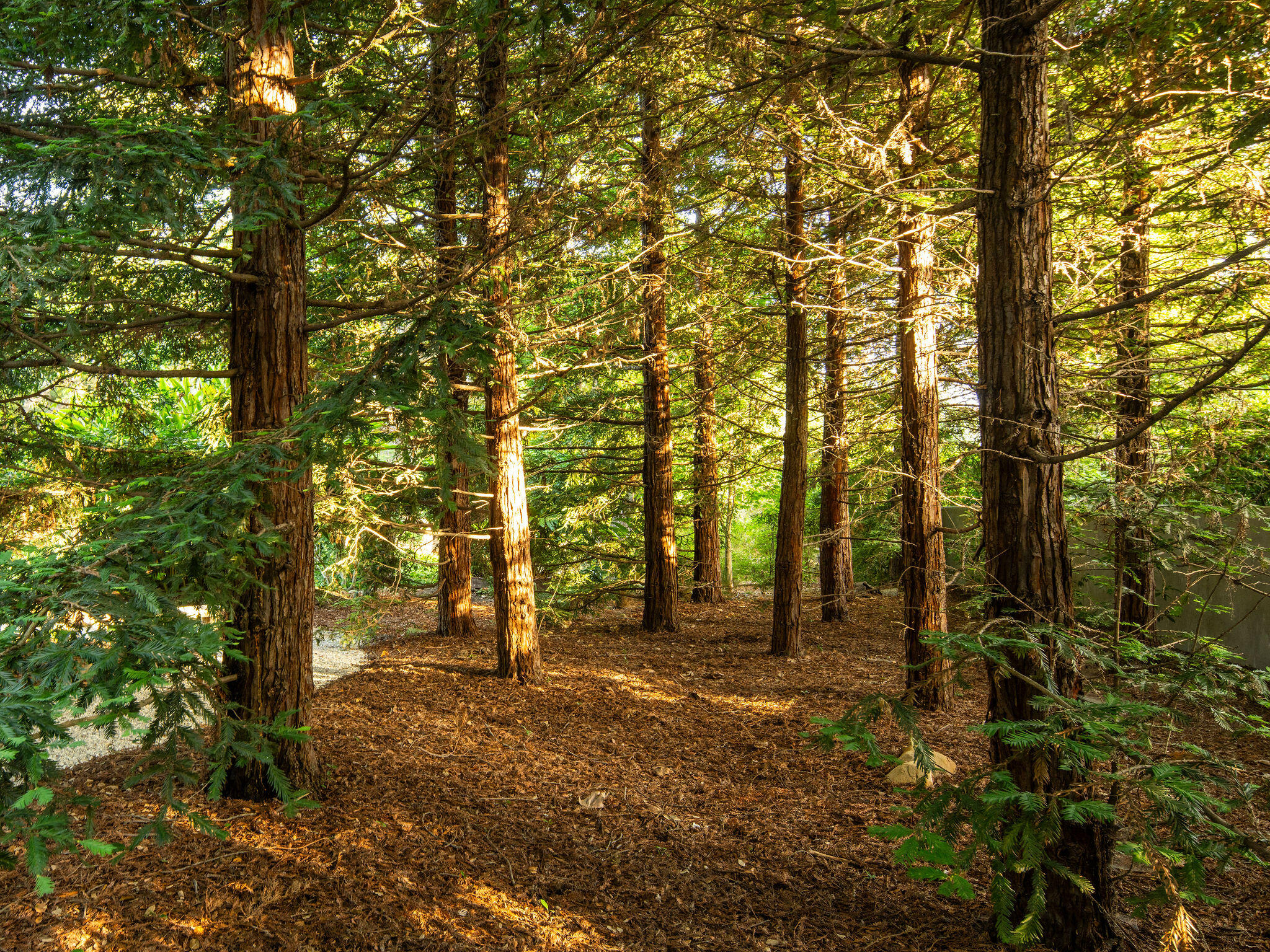 650 San Ysidro Road Montecito, CA 93108 - Photo 52 of 54 a view of outdoor space and a yard