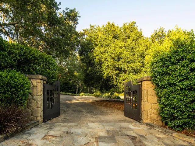 a view of outdoor space with trees all around