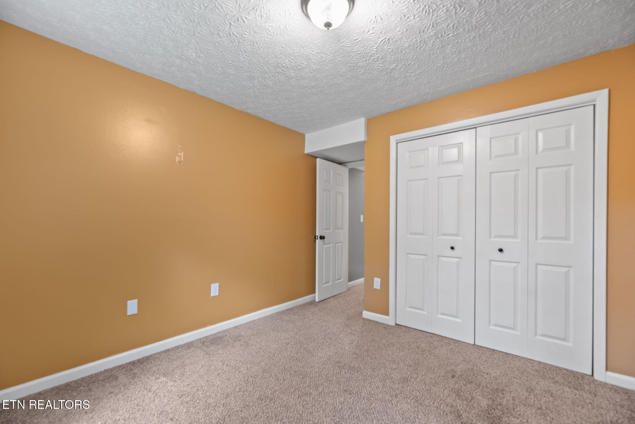 102 Bluff Road Kingston, TN 37763 - Photo 21 of 27 21-web-or-mls-Bluff102 (75)