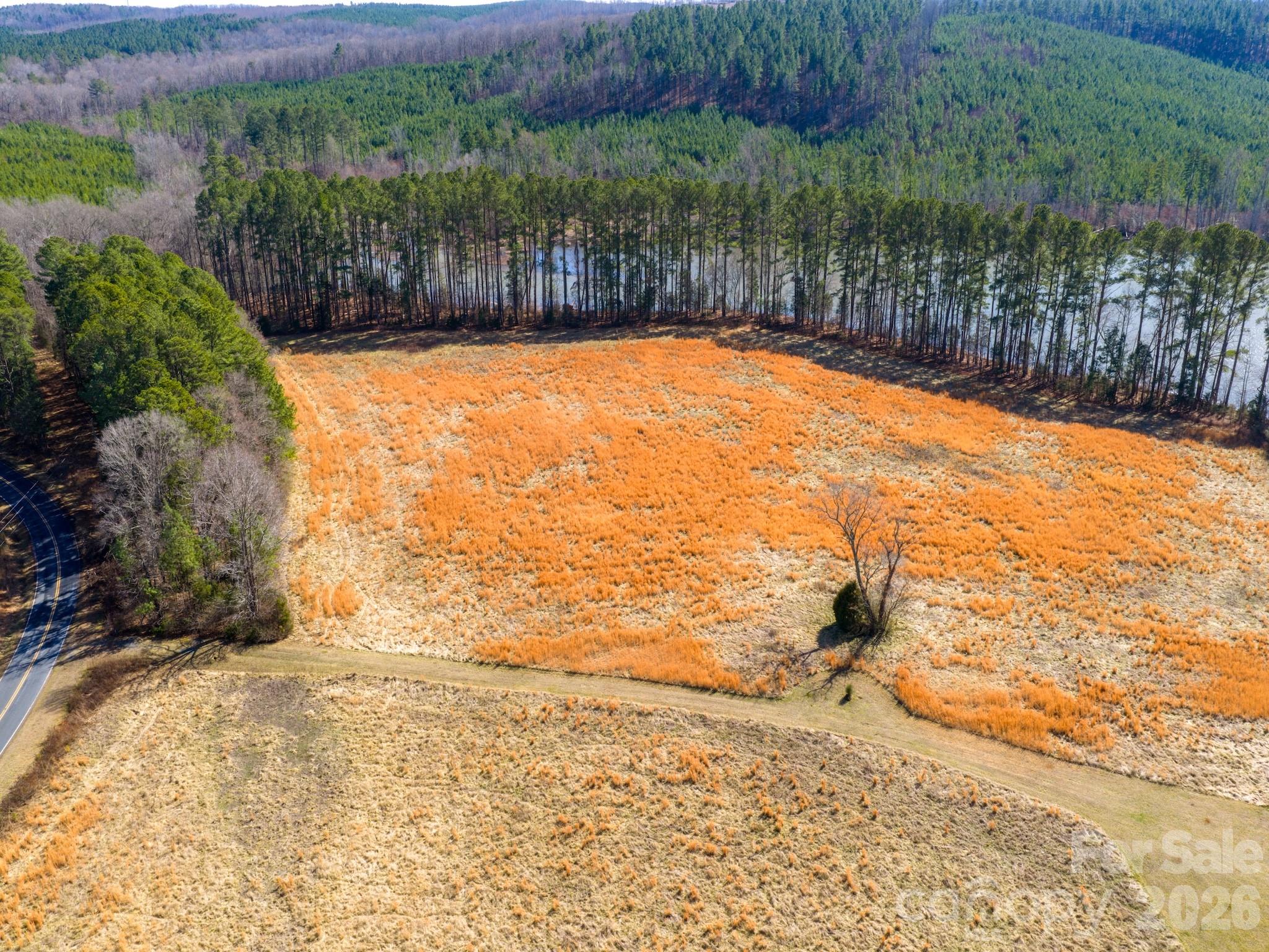 1347 Newsom Road Denton, NC 27239 - Photo 13 of 47 a view of a yard with an outdoor space