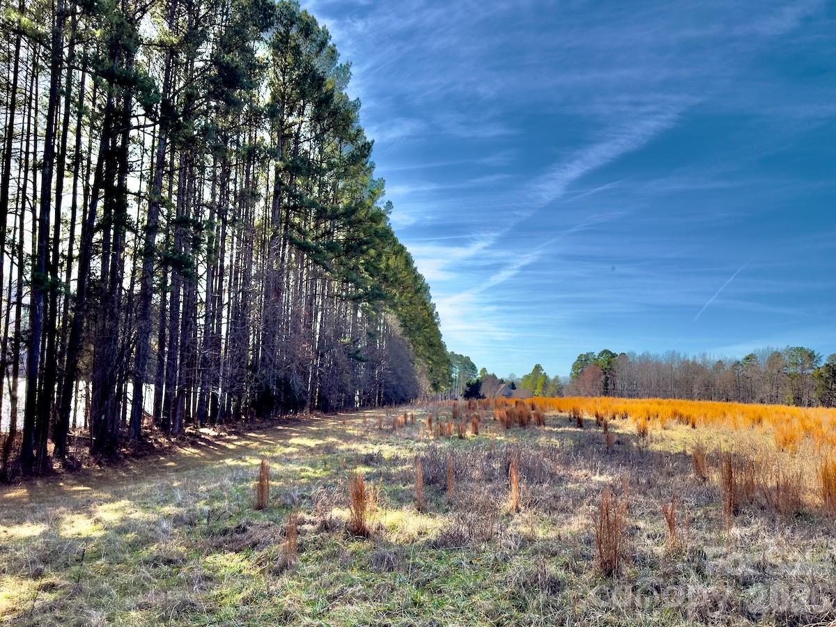 1347 Newsom Road Denton, NC 27239 - Photo 45 of 47