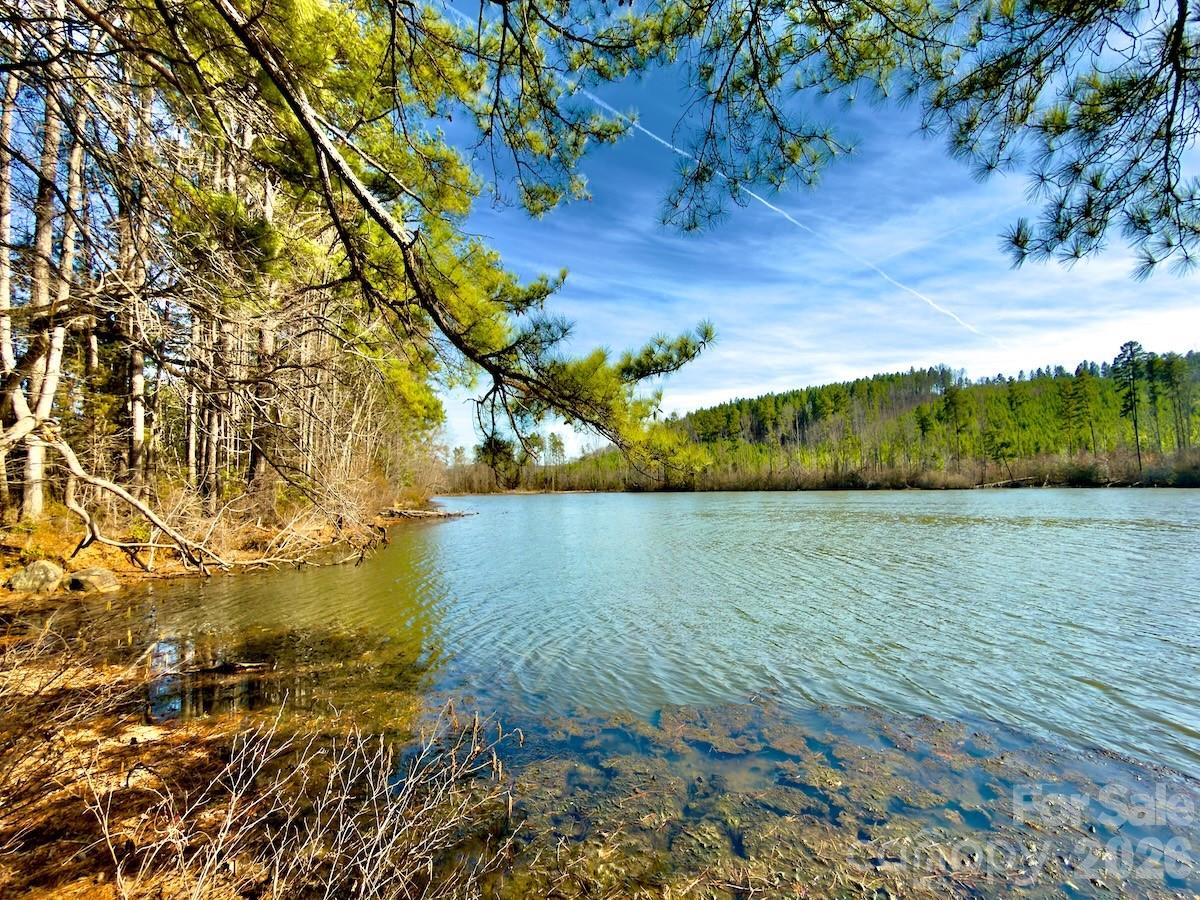 1347 Newsom Road Denton, NC 27239 - Photo 47 of 47