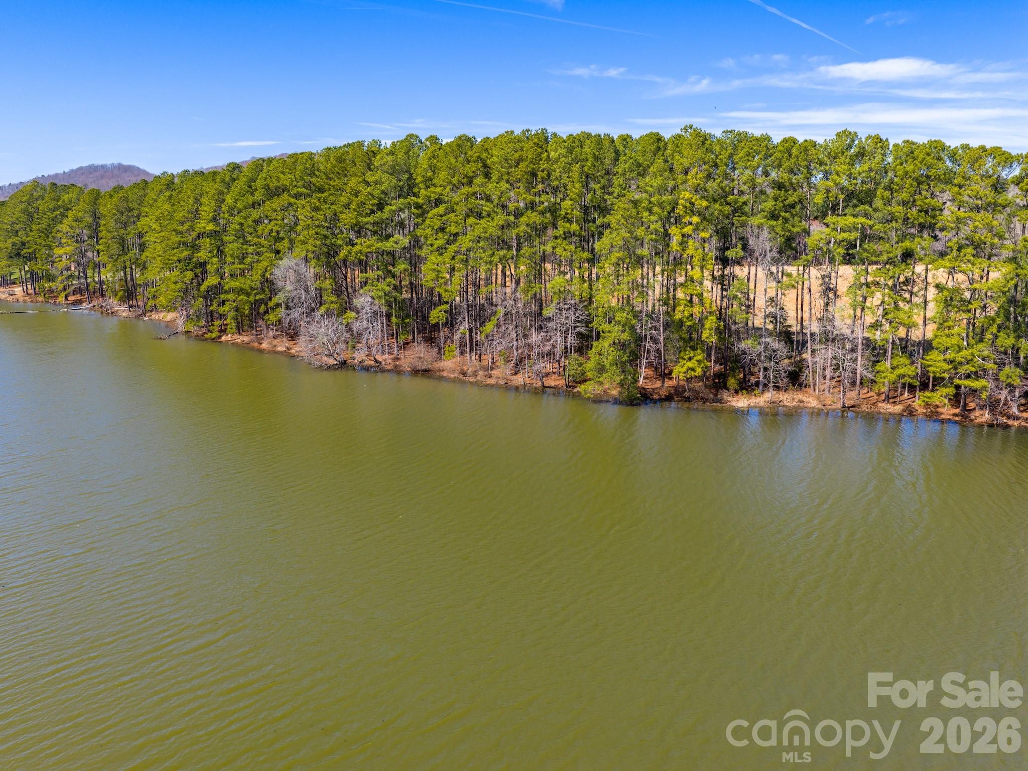 1347 Newsom Road Denton, NC 27239 - Photo 8 of 47 a view of an ocean with a mountain