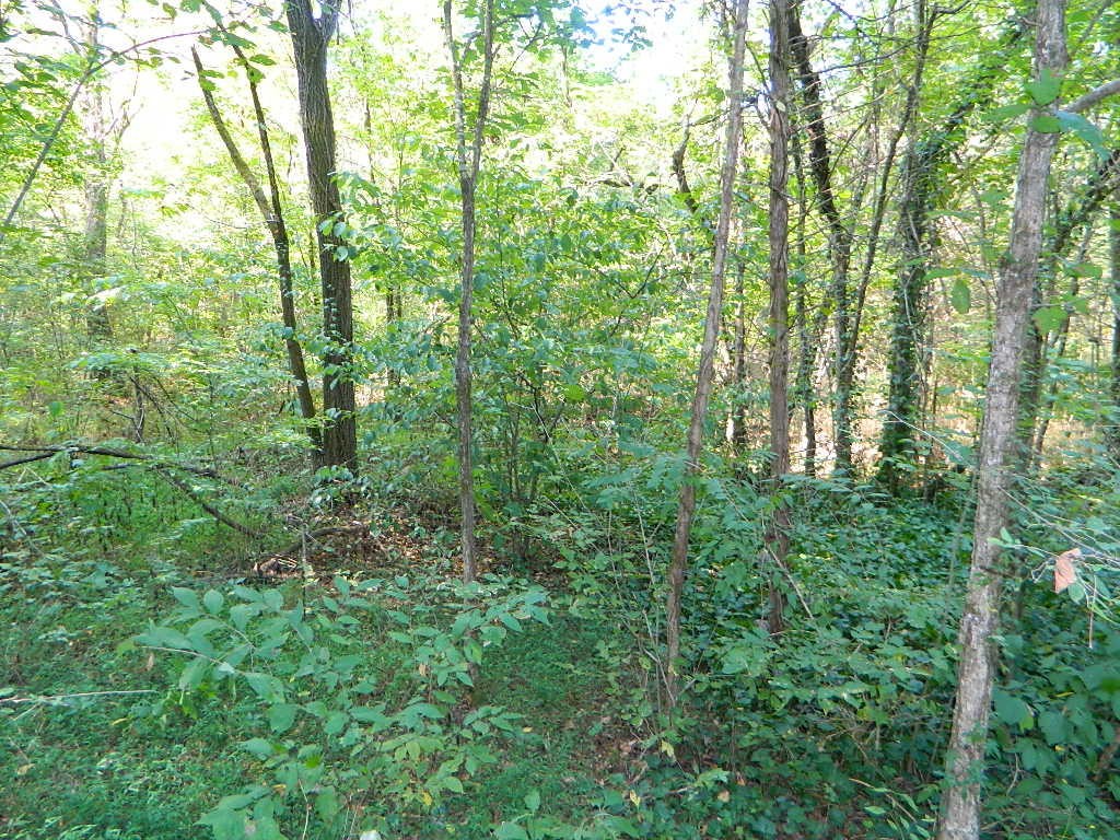 0 Woodwind Way Rising Fawn, GA 30738 - Photo 1 of 24