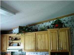 5005 Peanut Road Graceville, FL 32440 - Photo 7 of 11 Additional Photo