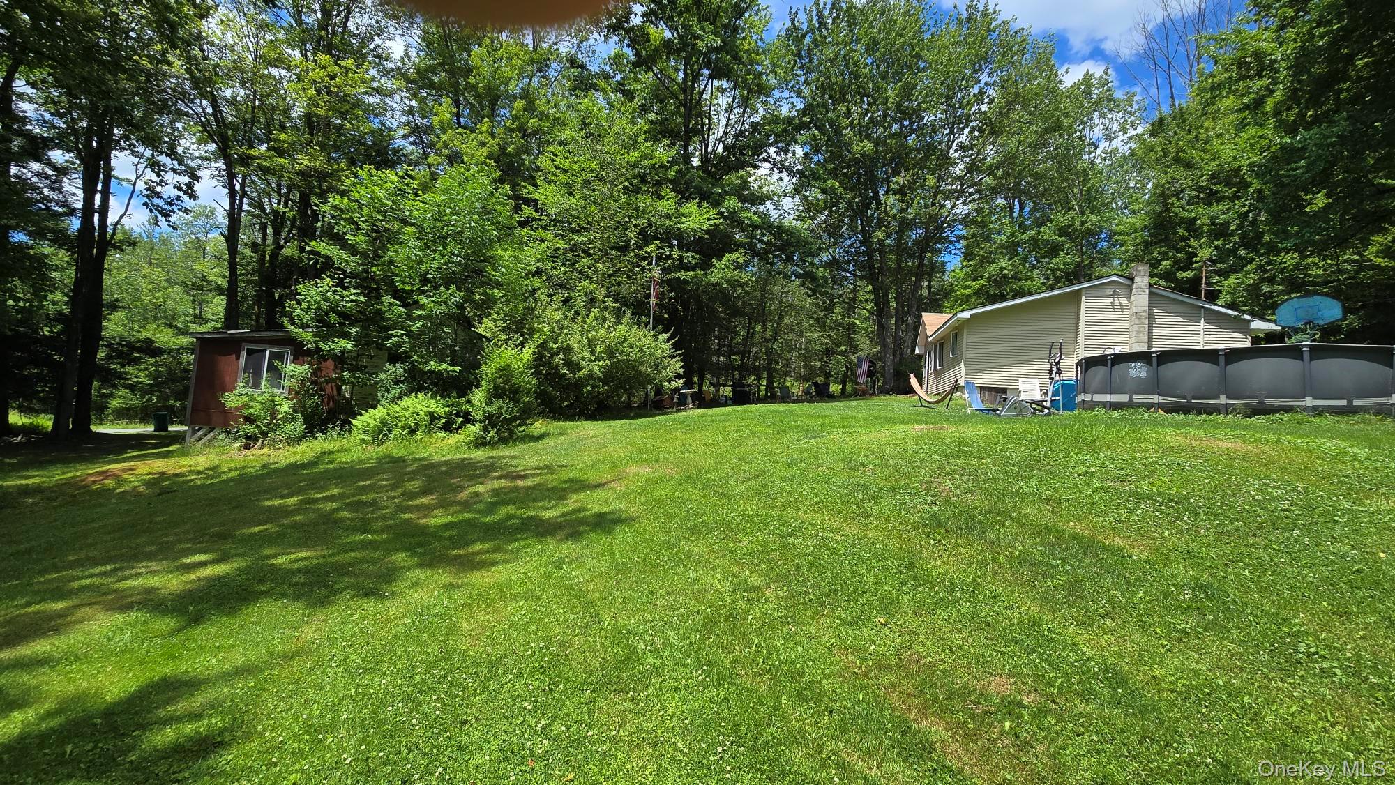 40 Barton Road Liberty, NY 12754 - Photo 2 of 18