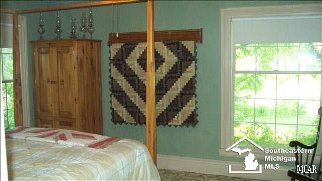 2633 Wells Road Petersburg, MI 49270 - Photo 16 of 20 20008762-15.JPG