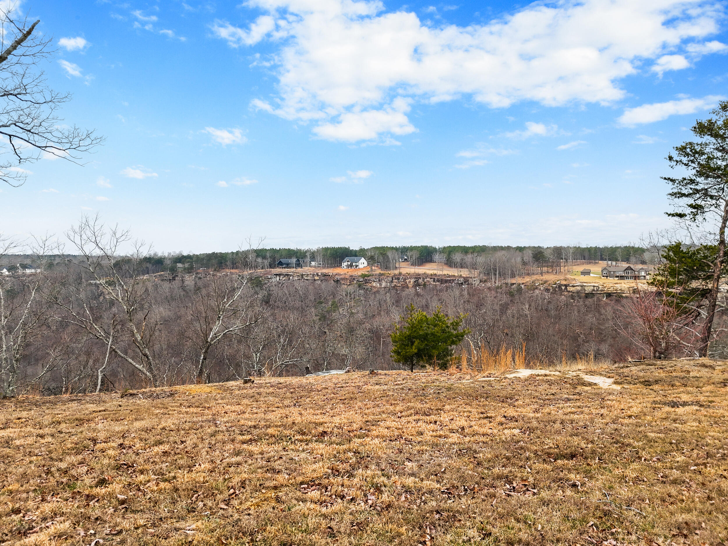 235 Pine Knot Pass Jasper, TN 37347 - Photo 14 of 36 dji_20260203221358_0466_d