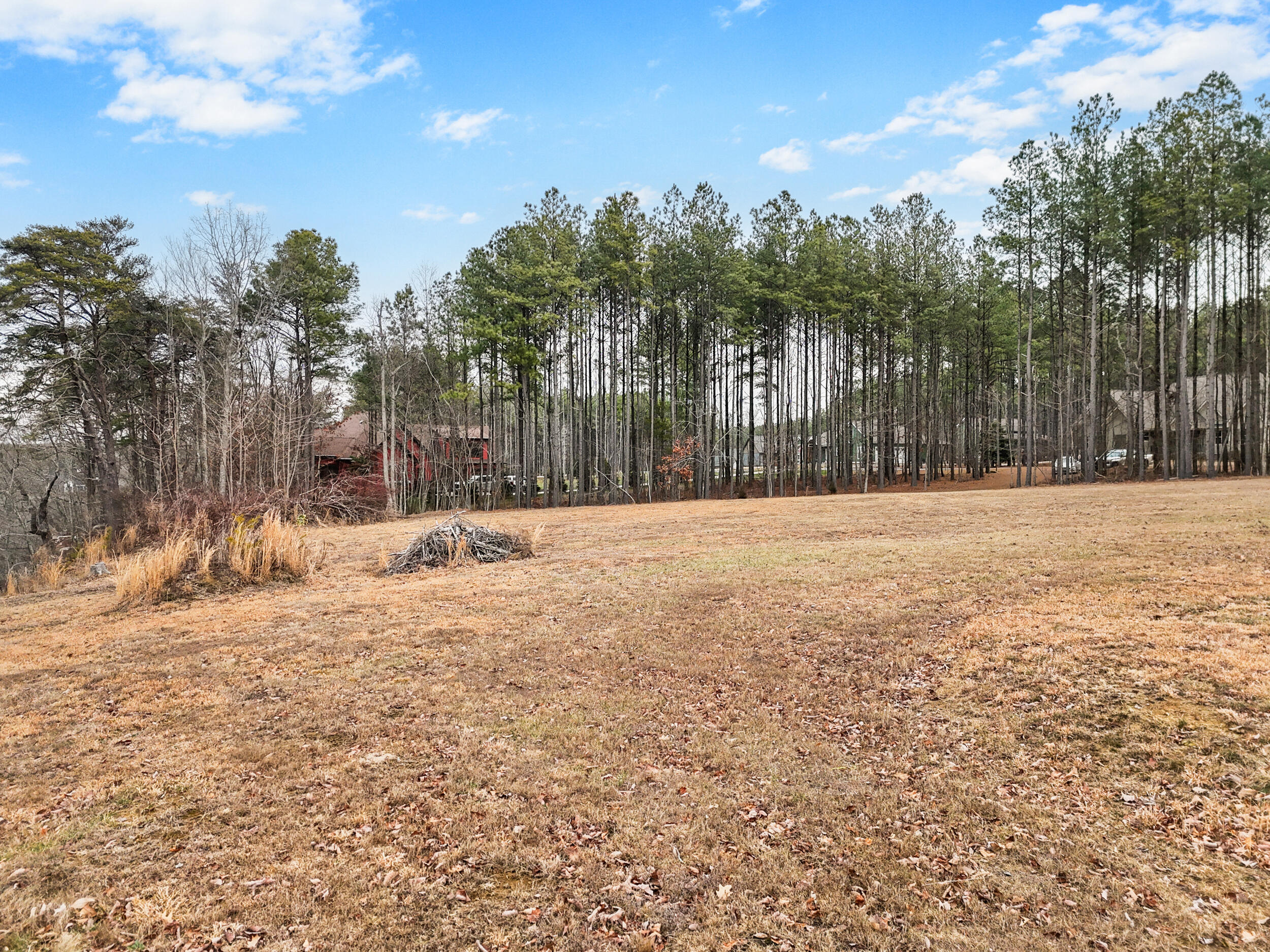 235 Pine Knot Pass Jasper, TN 37347 - Photo 15 of 36 dji_20260203221403_0471_d