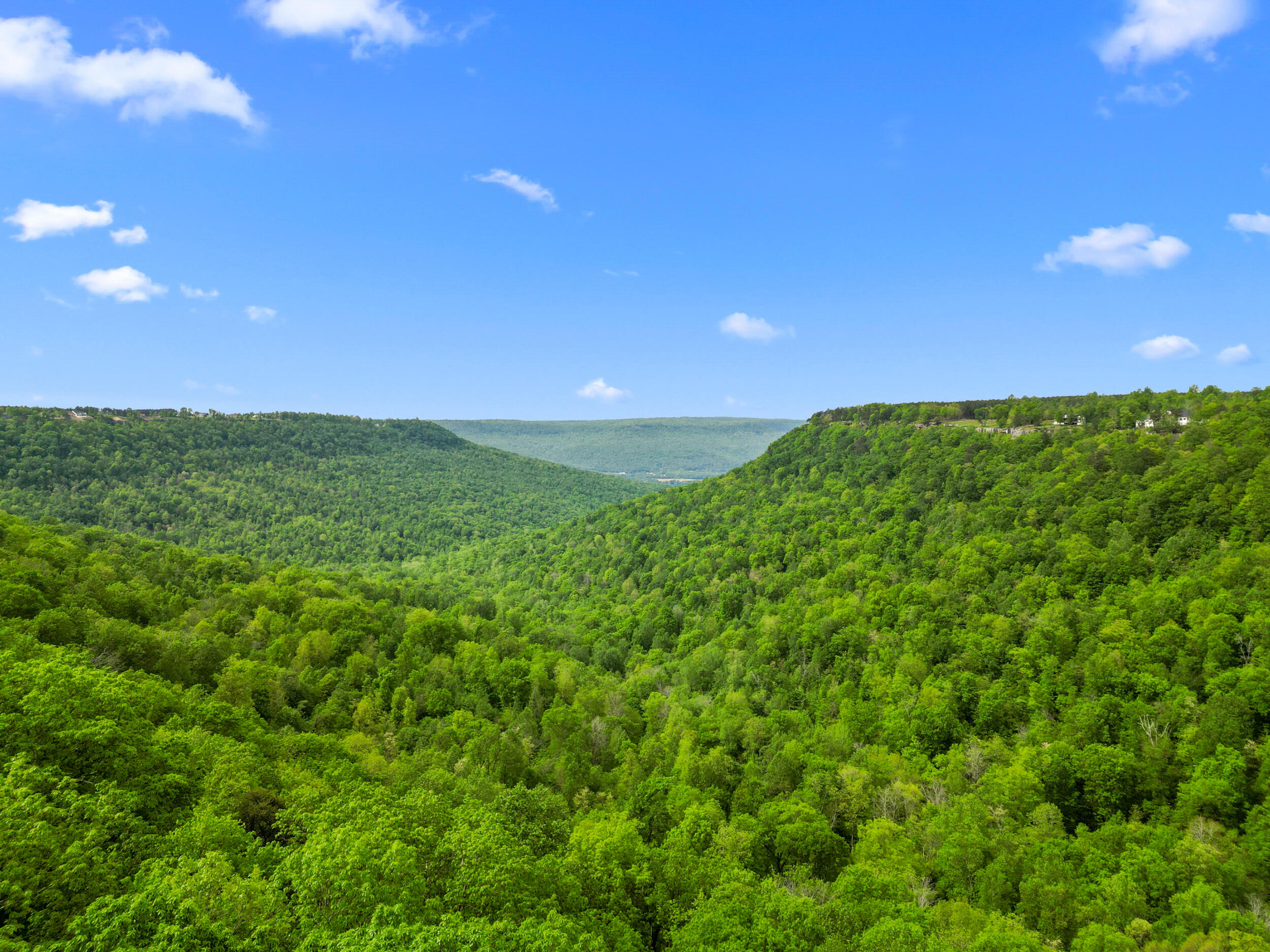 235 Pine Knot Pass Jasper, TN 37347 - Photo 23 of 36 dji_0826