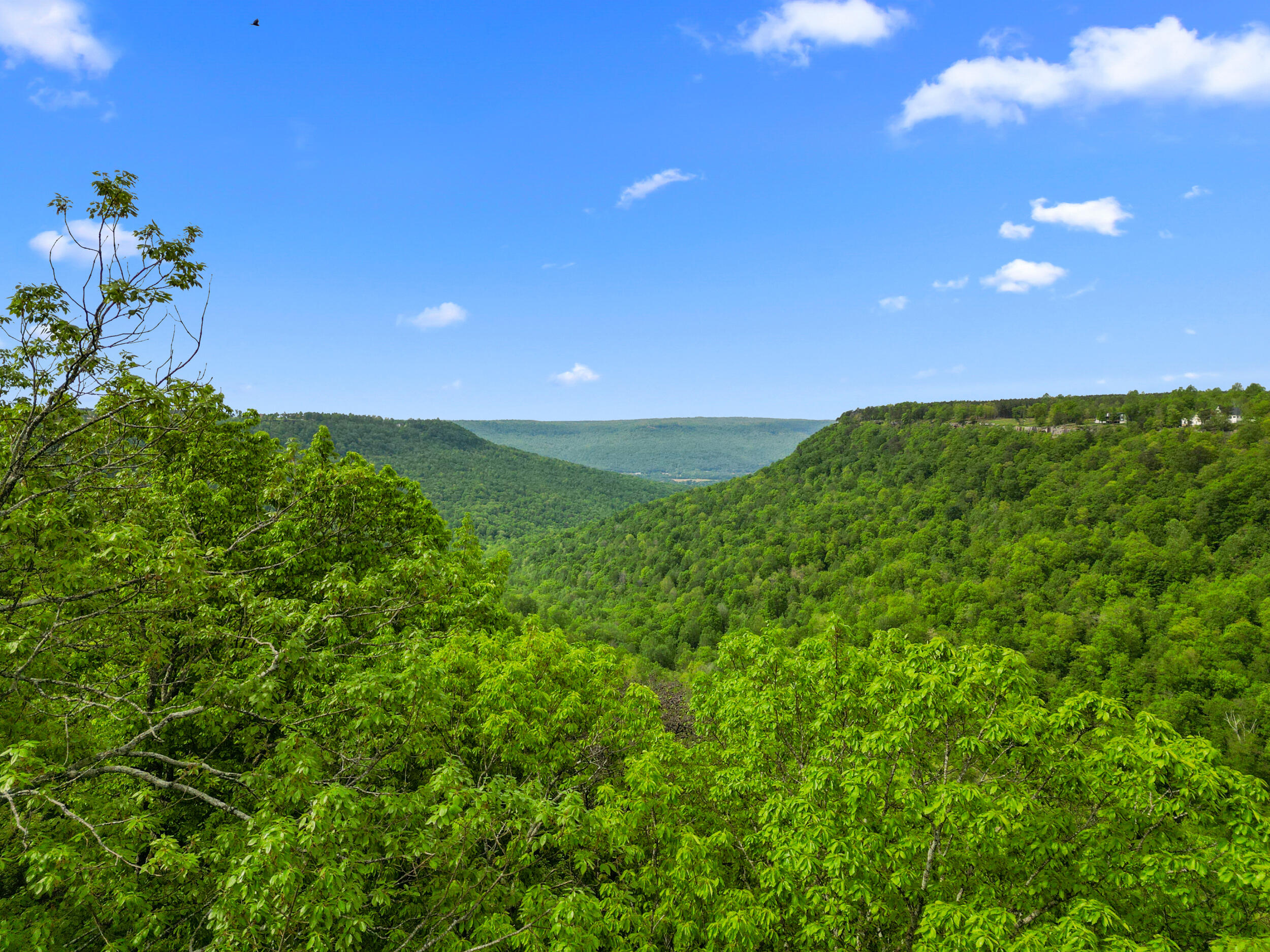 235 Pine Knot Pass Jasper, TN 37347 - Photo 24 of 36 dji_0831