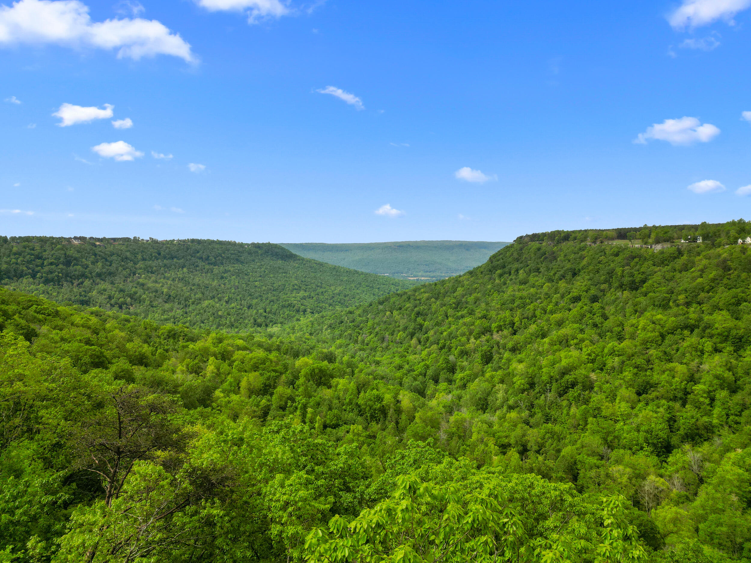 235 Pine Knot Pass Jasper, TN 37347 - Photo 25 of 36 dji_0836