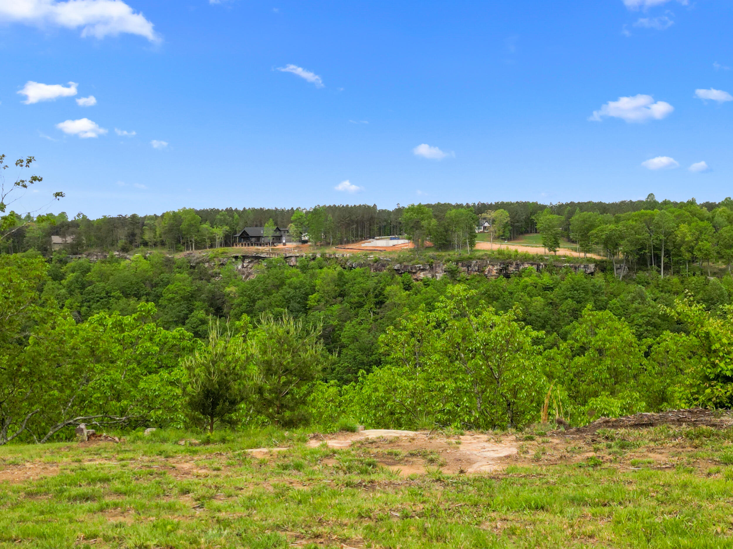 235 Pine Knot Pass Jasper, TN 37347 - Photo 26 of 36 dji_0846