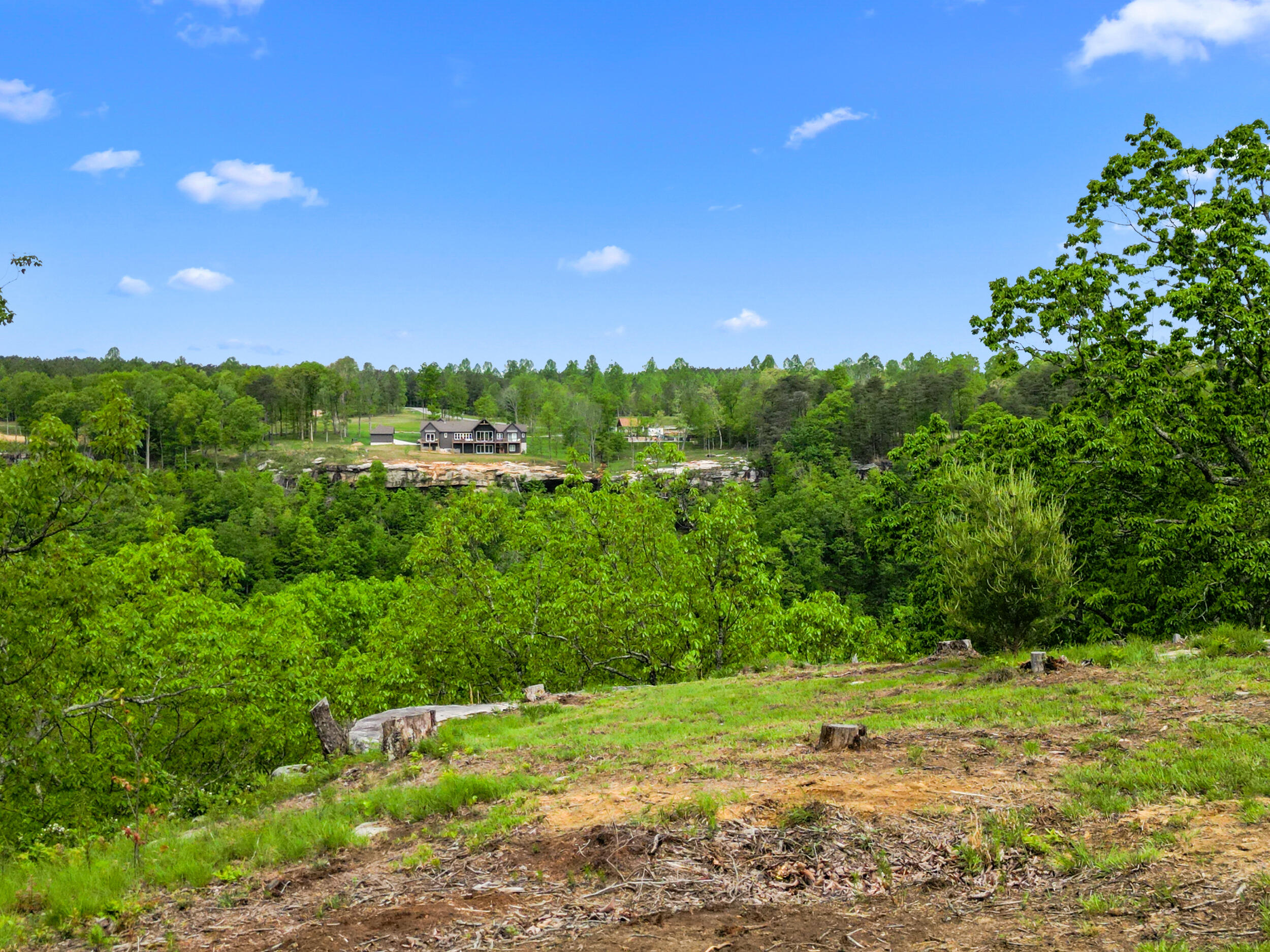 235 Pine Knot Pass Jasper, TN 37347 - Photo 27 of 36 dji_0851